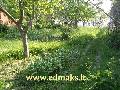 Skelbimas: Sklypas Dituvoje skelbimai