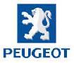 Peugeot Citroen diagnostika remontas Vilniuje skelbimai